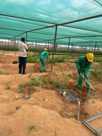 modern irrigation