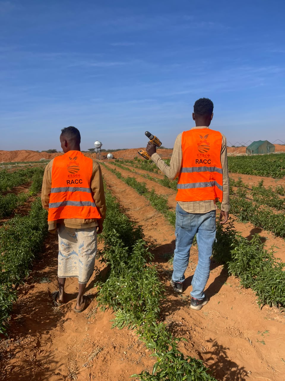 modern irrigation