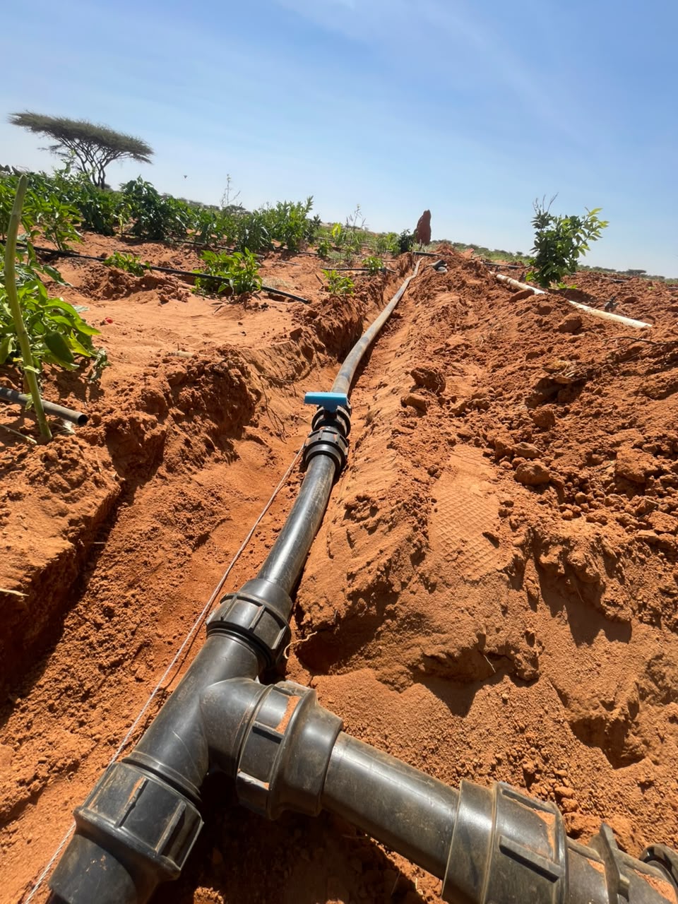 water and irrigation